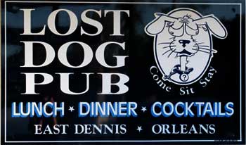 Lost Dog Pub Orleans
