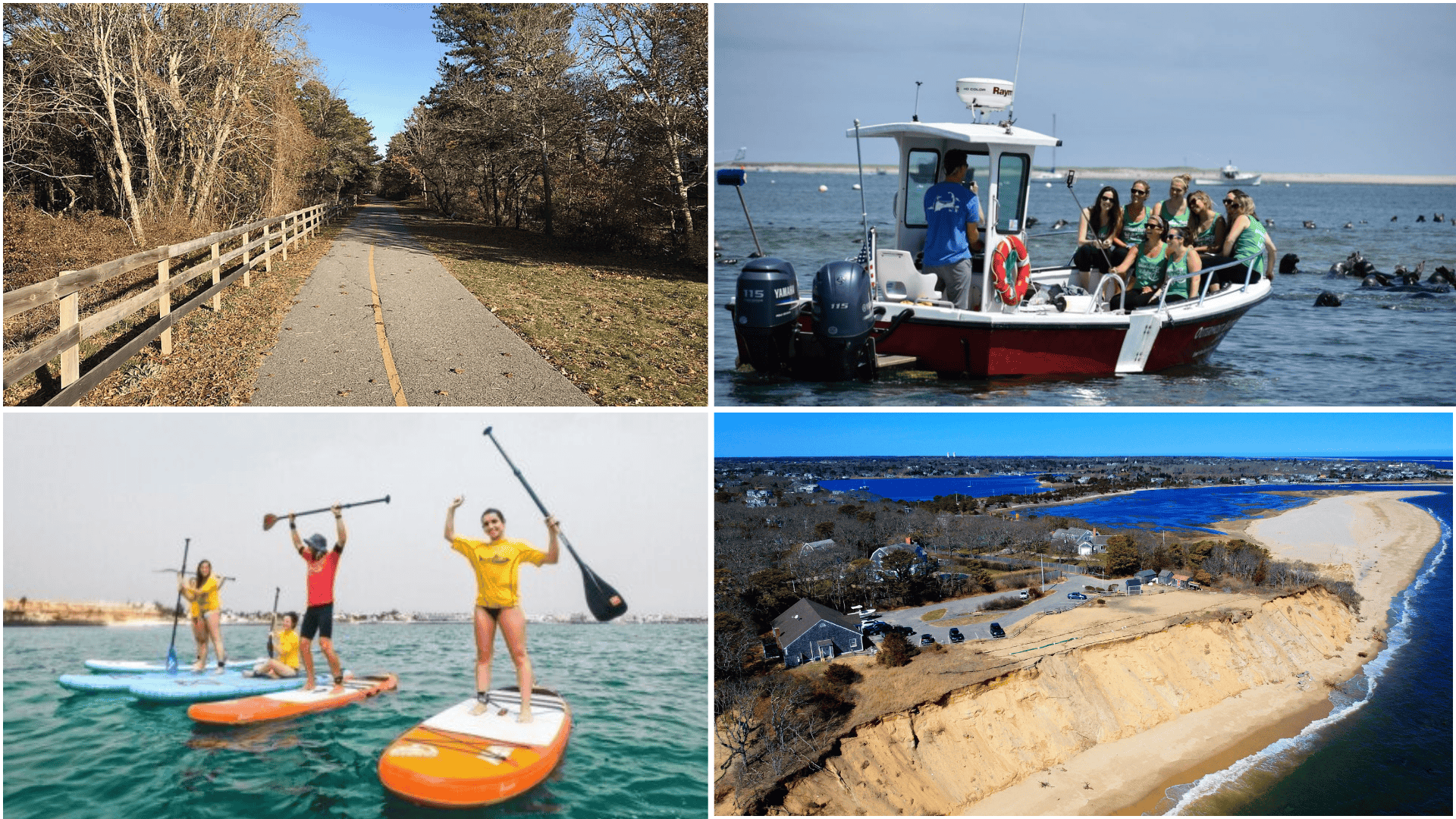 Things to Do in Chatham -Wildlife & Outdoor Adventures