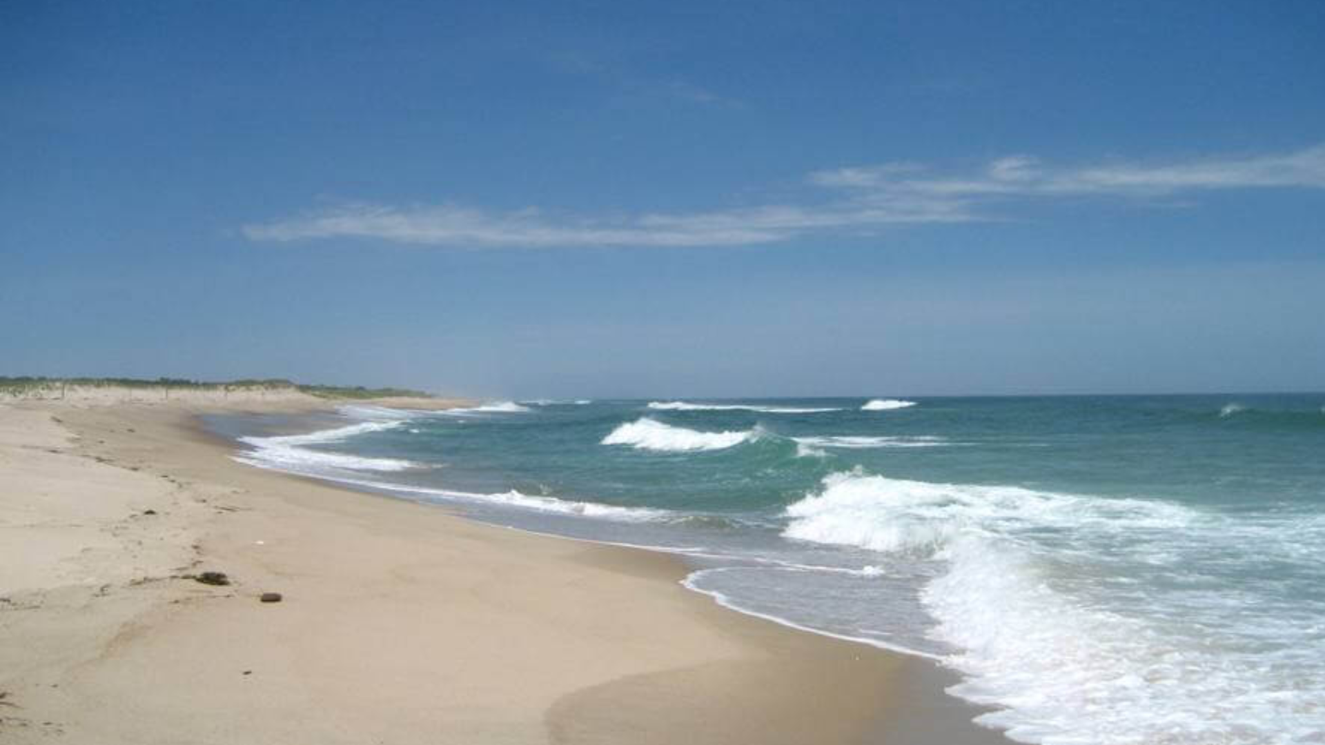 What the Sand and Water Are Like?