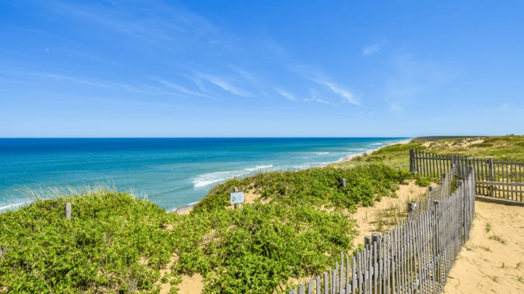 15 Things to Do in Wellfleet, MA You Can’t Miss