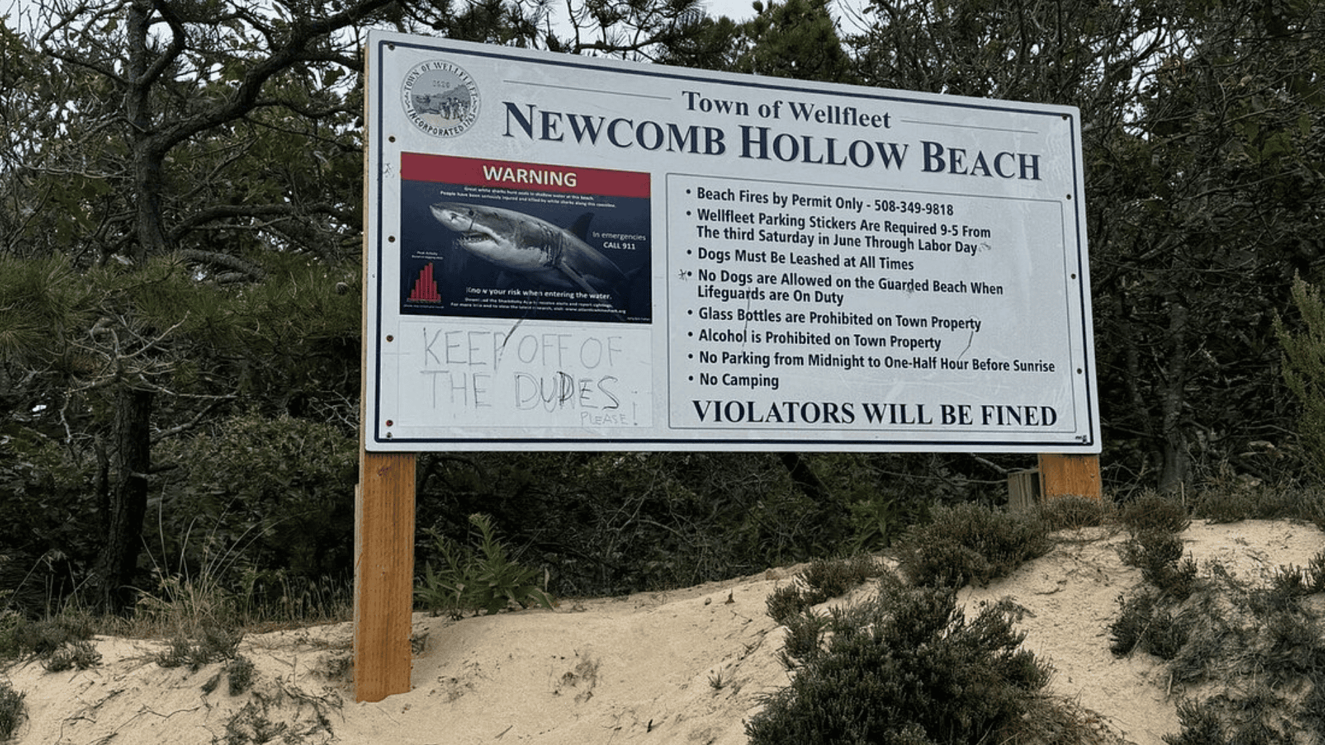 Amenities & Practical Details About Newcomb Hollow Beach