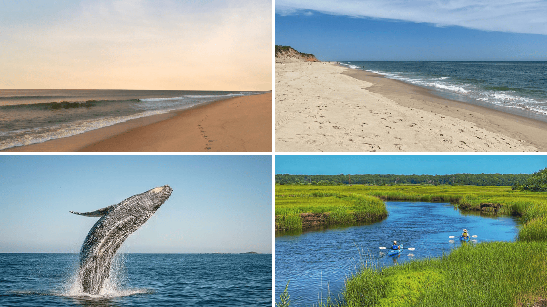 Beach & Water Activities