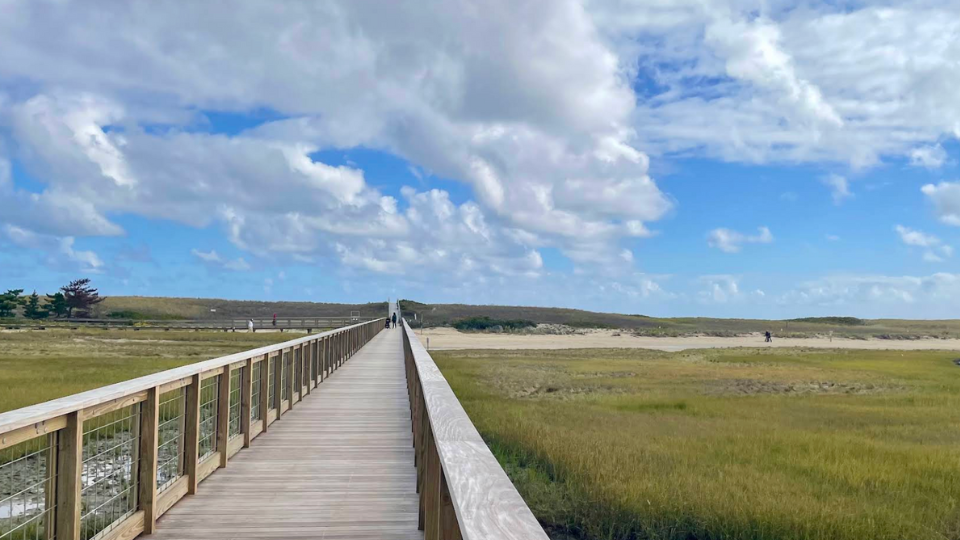 Beautiful Boardwalks