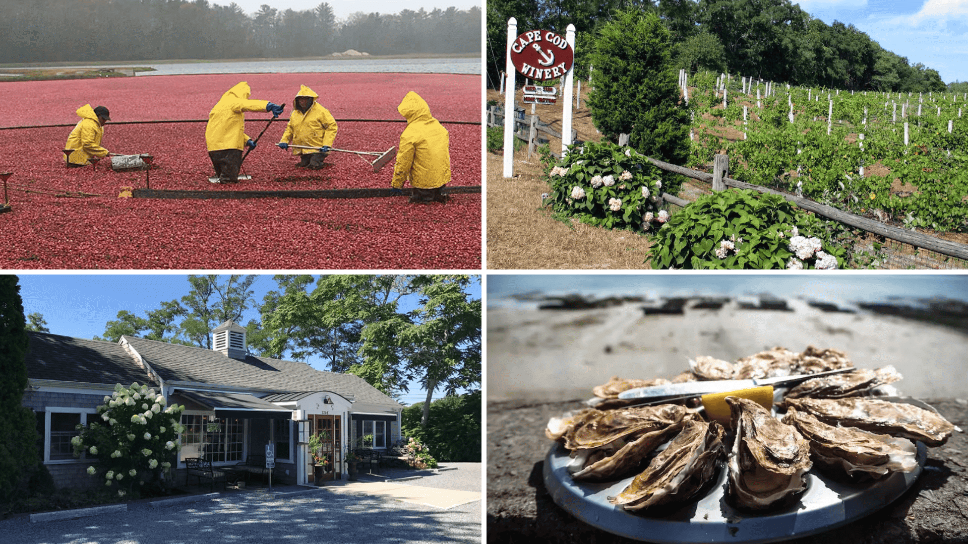 Culinary-Experiences-in -Cape-Cod- during-fall