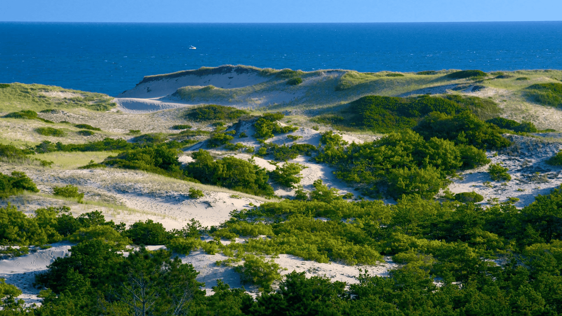 Explore Cape Cod National Seashore