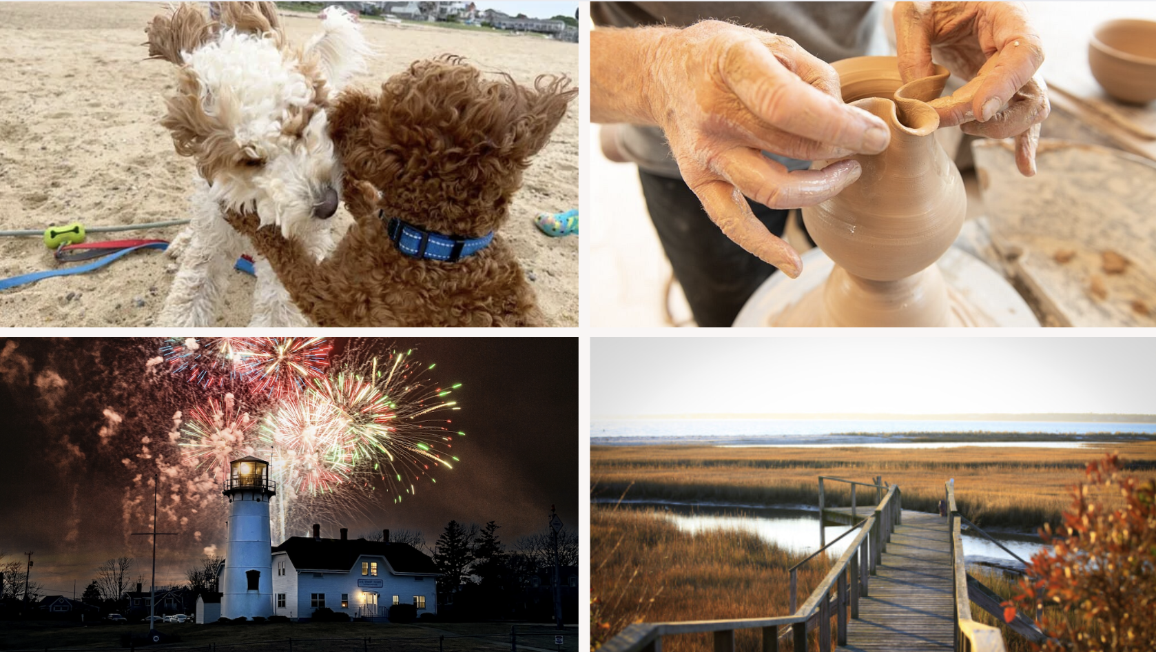 Family PetFriendly & Local Activities