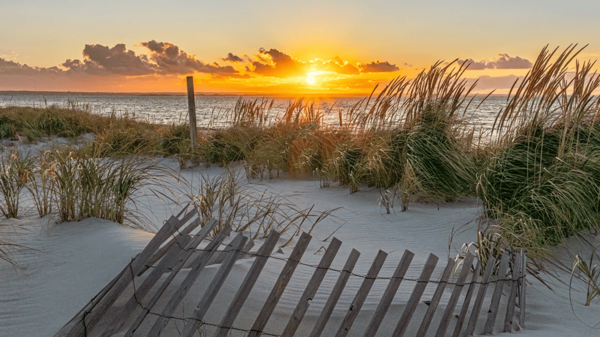 Mayflower Beach, Dennis