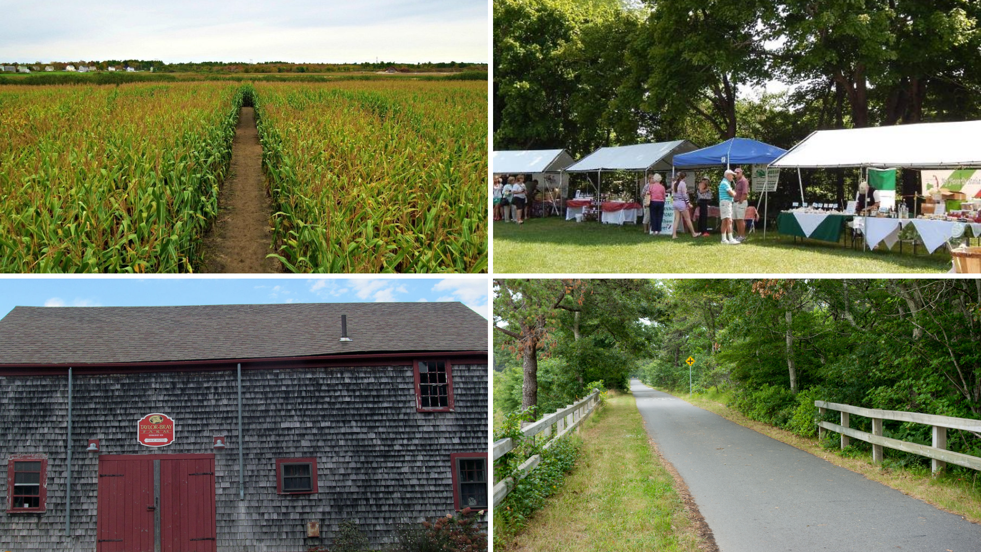 More Cape Cod Experiences Like This