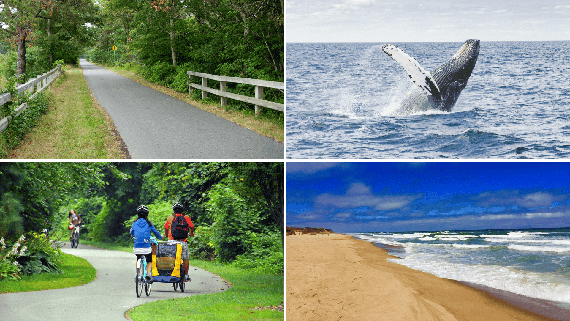 Outdoor Adventures to Do in Cape Cod in The Fall