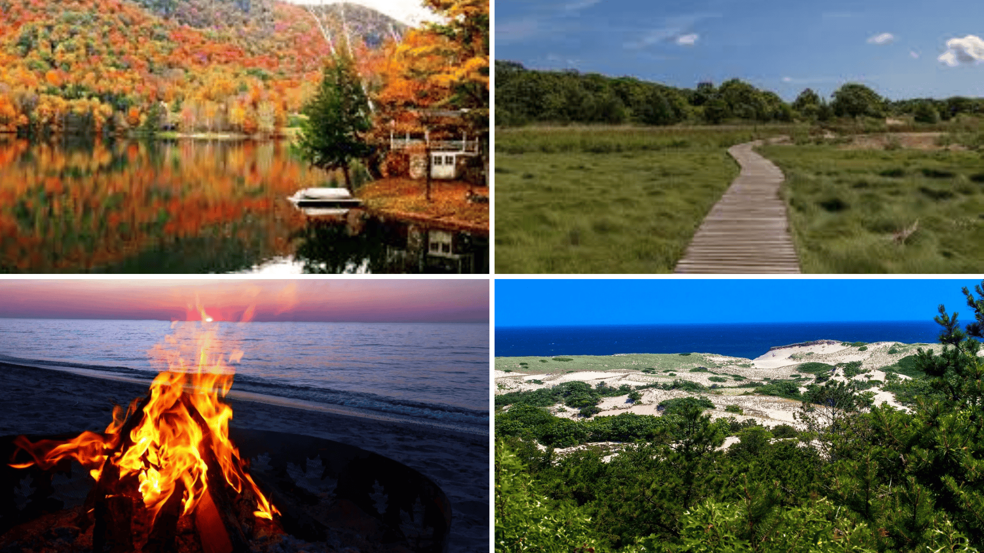 Photography & Nature to Do in Cape Cod in The Fall