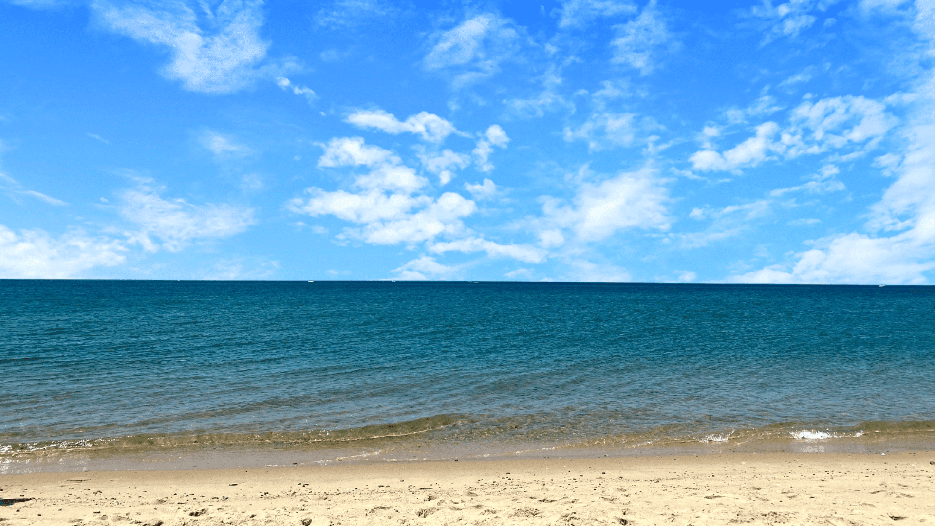Race Point Beach Cape Cod- Your Wild Atlantic Adventure