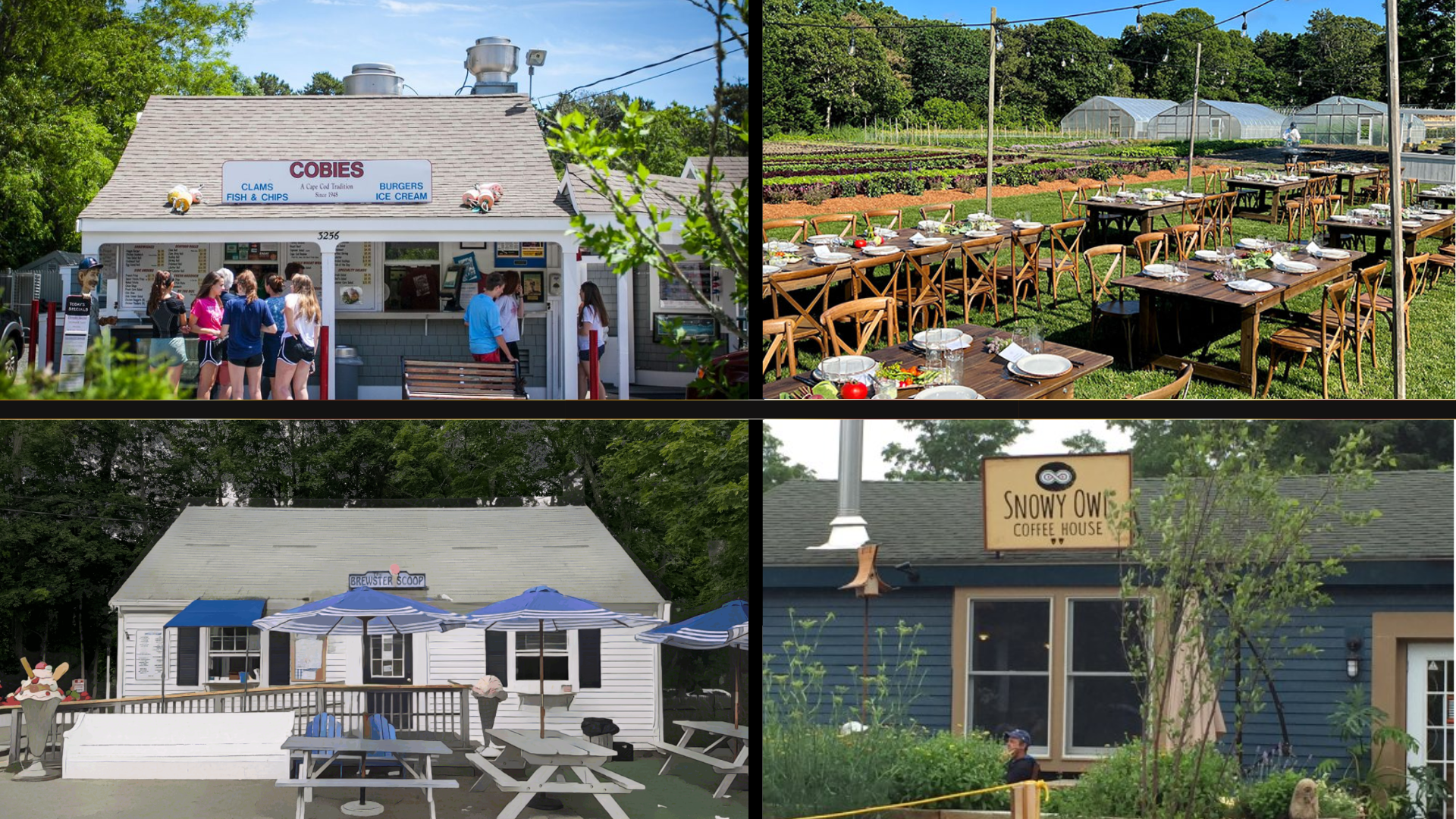 Savoring the Best Flavors of Brewster