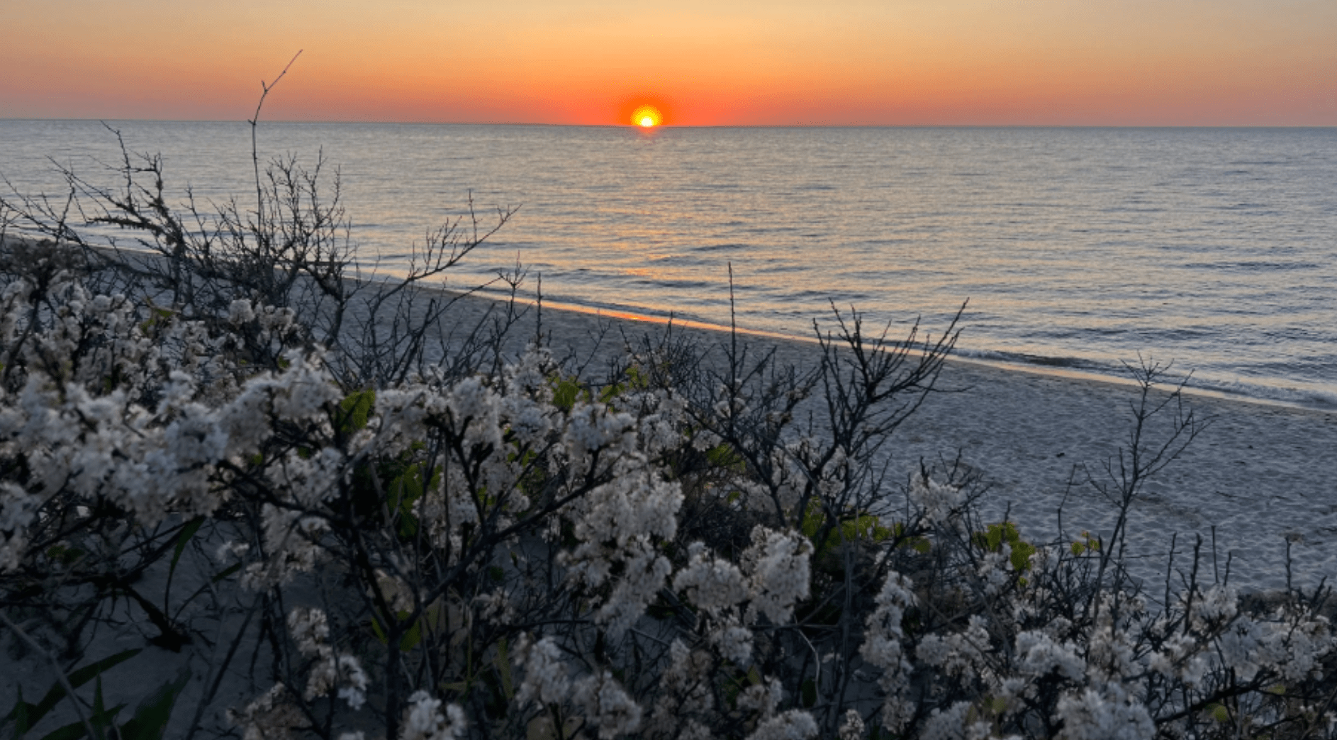 Spruce Hill Beach