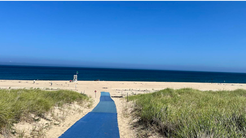 The Best Protected Coastline