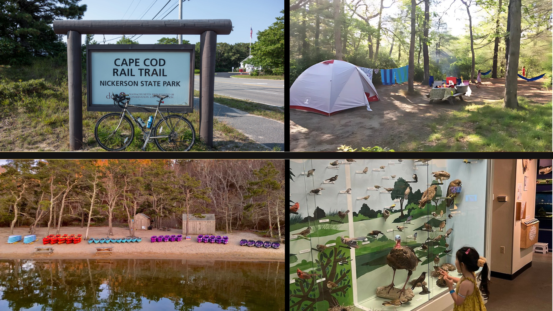 Things to Do in Brewster MA- Nature & Outdoor Adventures