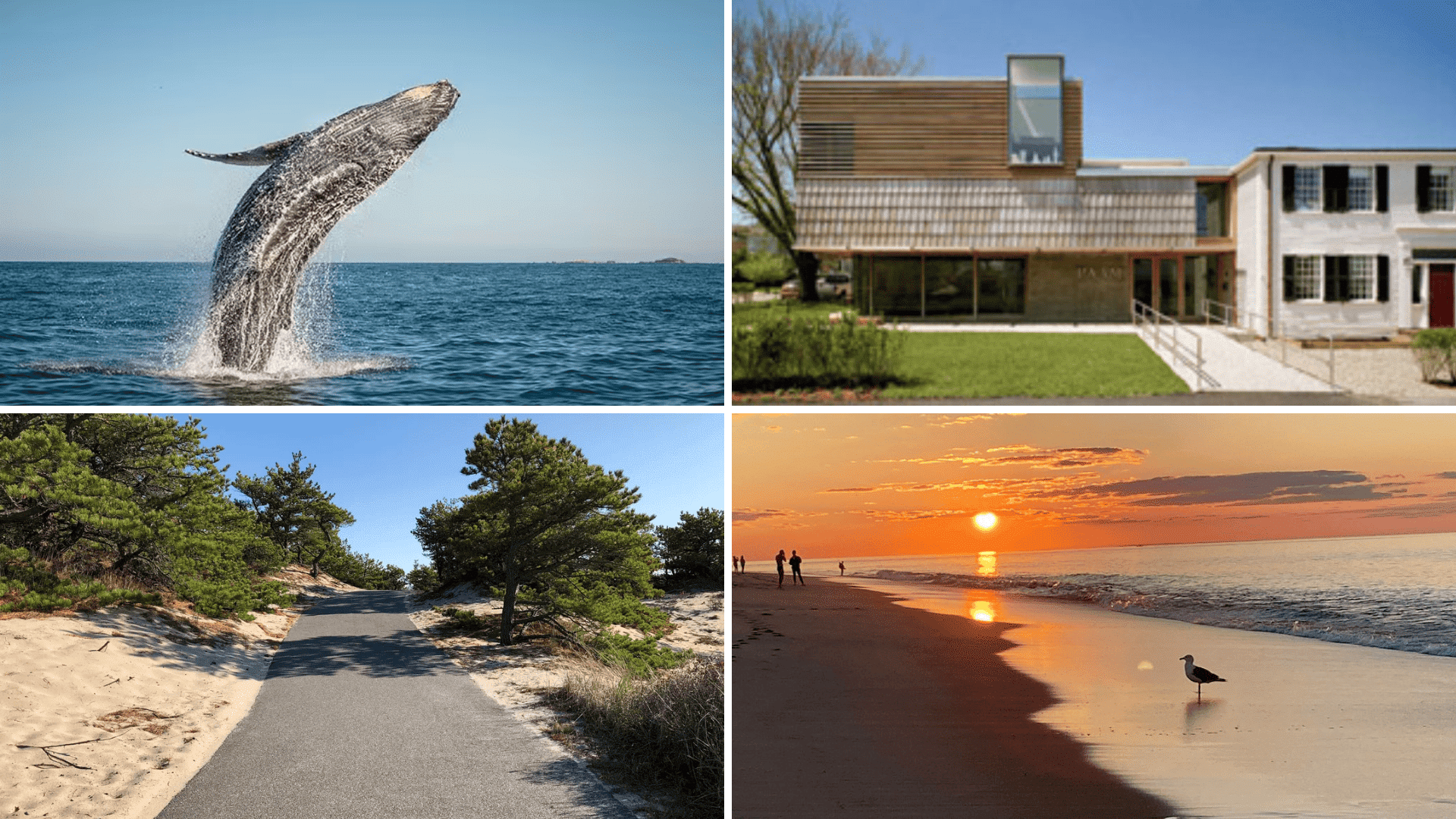 Top-Outdoor-Activities-&-Natural-Attractions-at-Provincetown-cape-cod