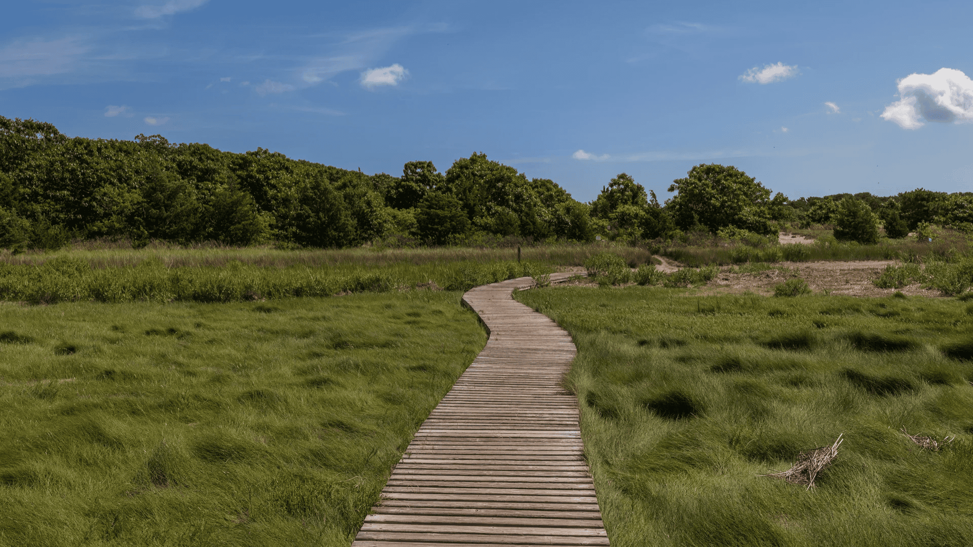 Visit Wellfleet Bay Wildlife Sanctuary