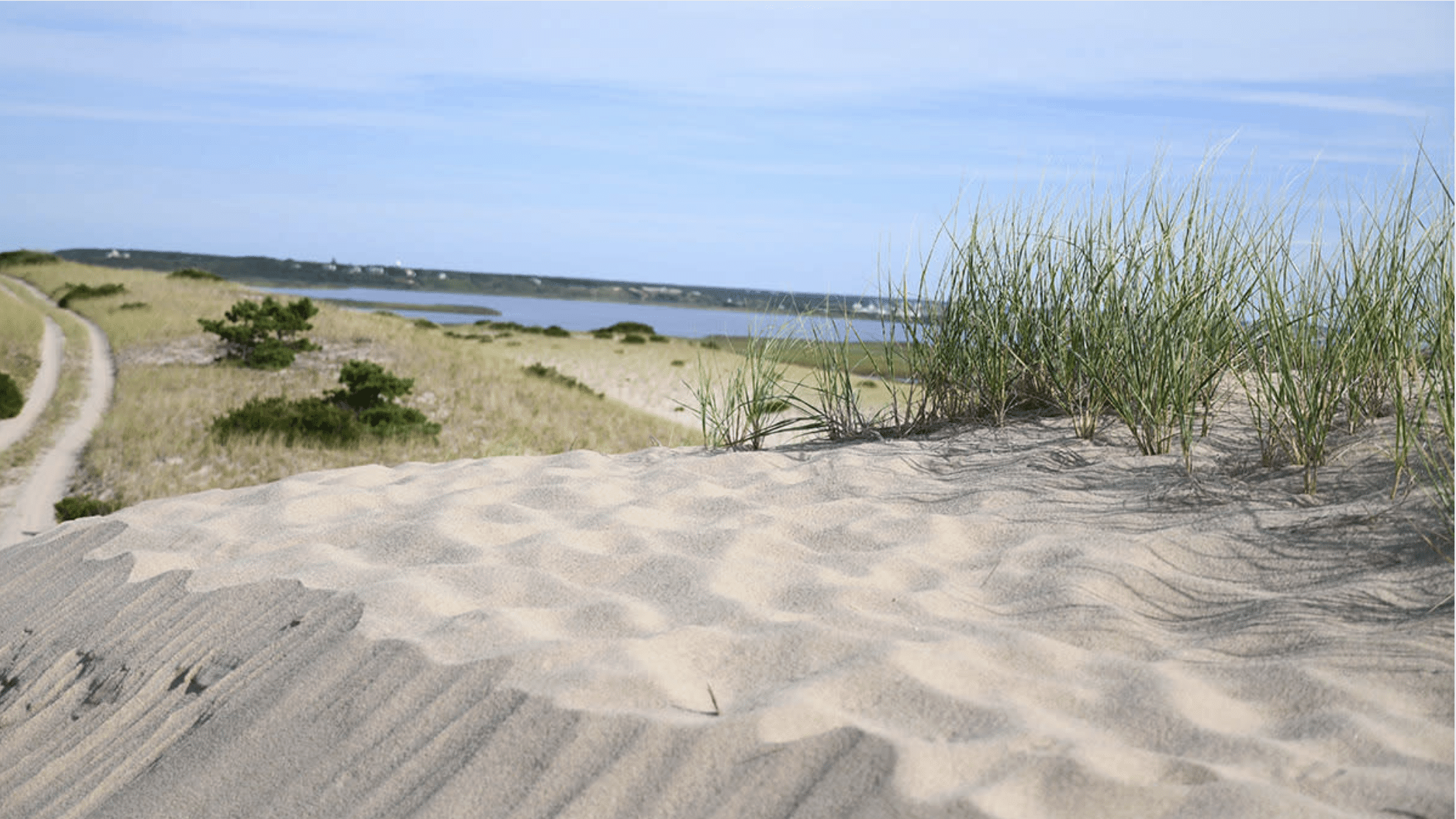What Is Cape Cod National Seashore