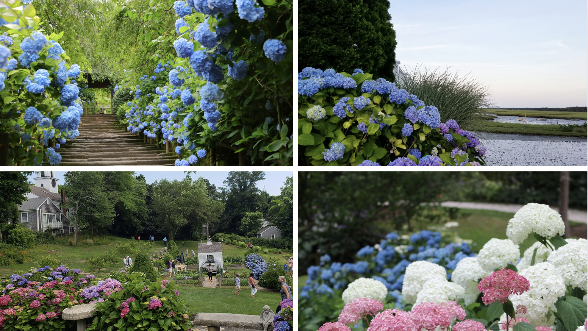 What Kinds of Gardens Will You See?