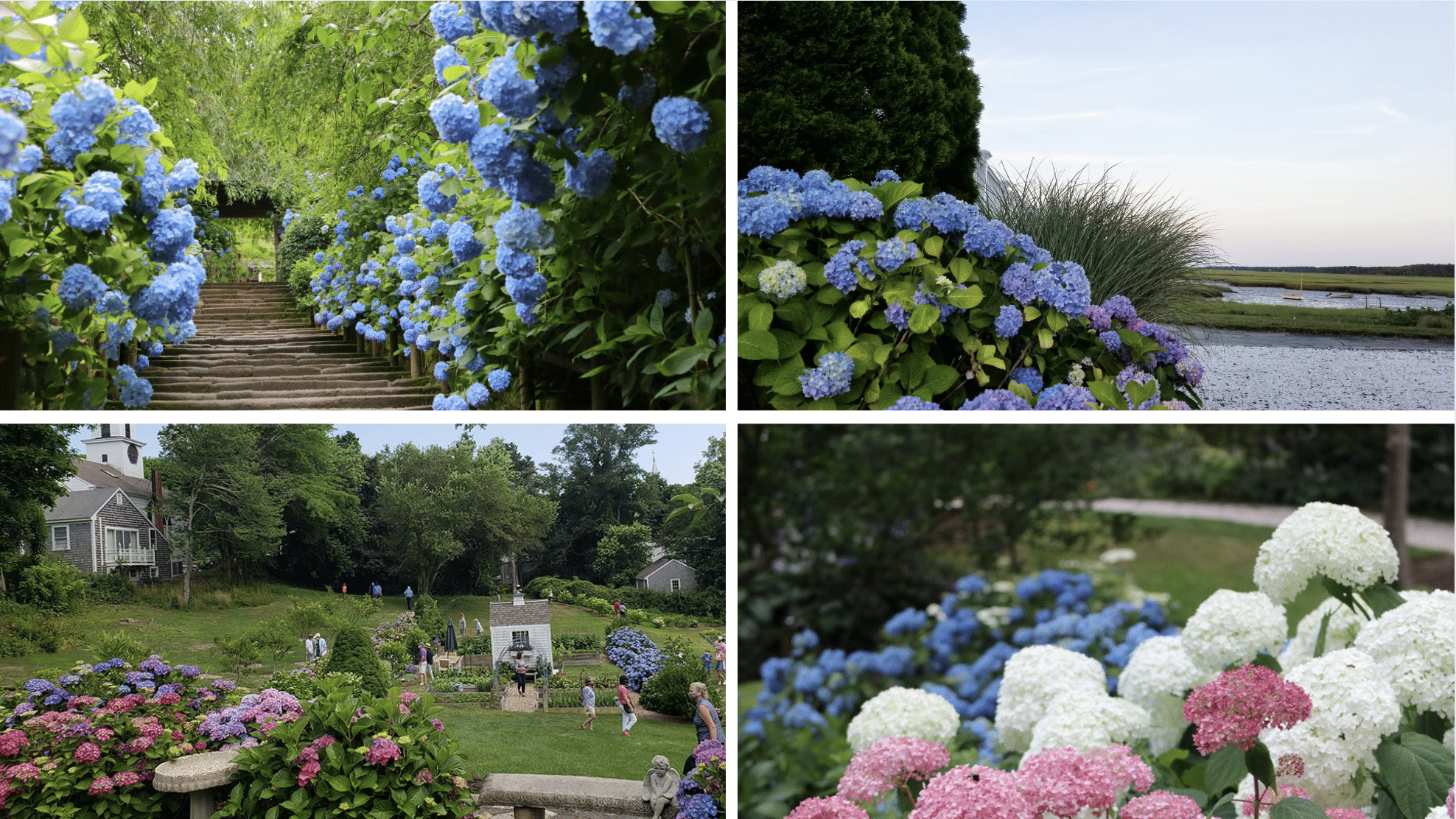 What Kinds of Gardens Will You See