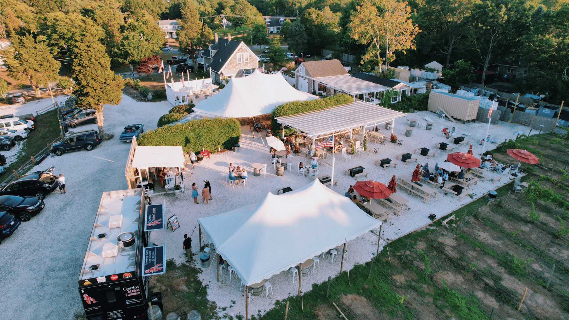What Makes the Winery Fun to Visit