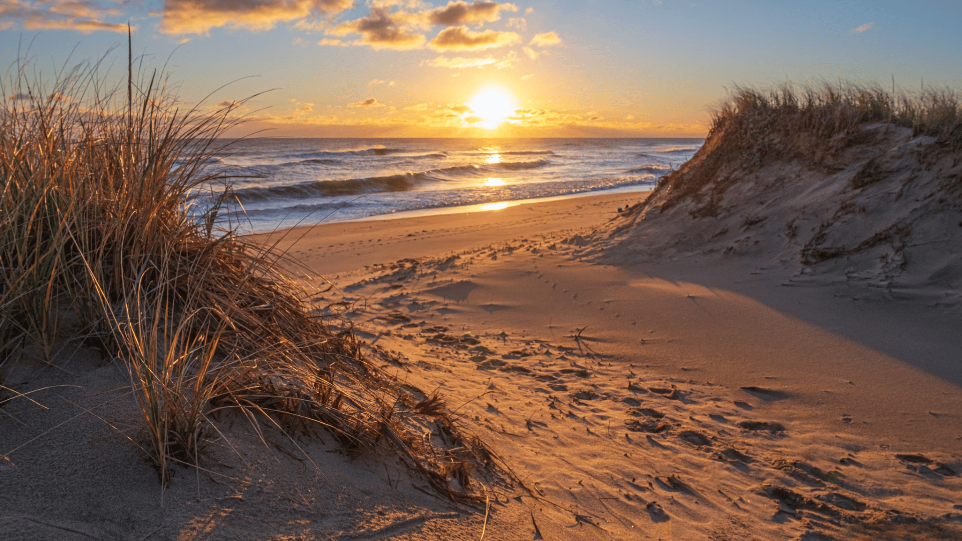What the Sand and Water Are Like?