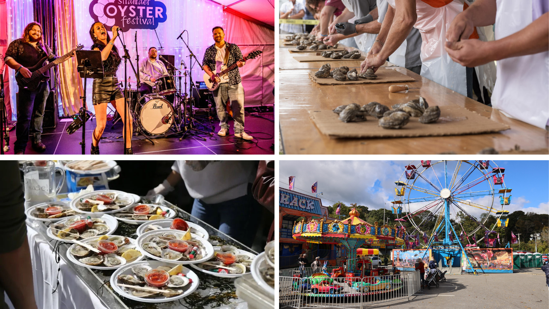 What to Expect at the Festival