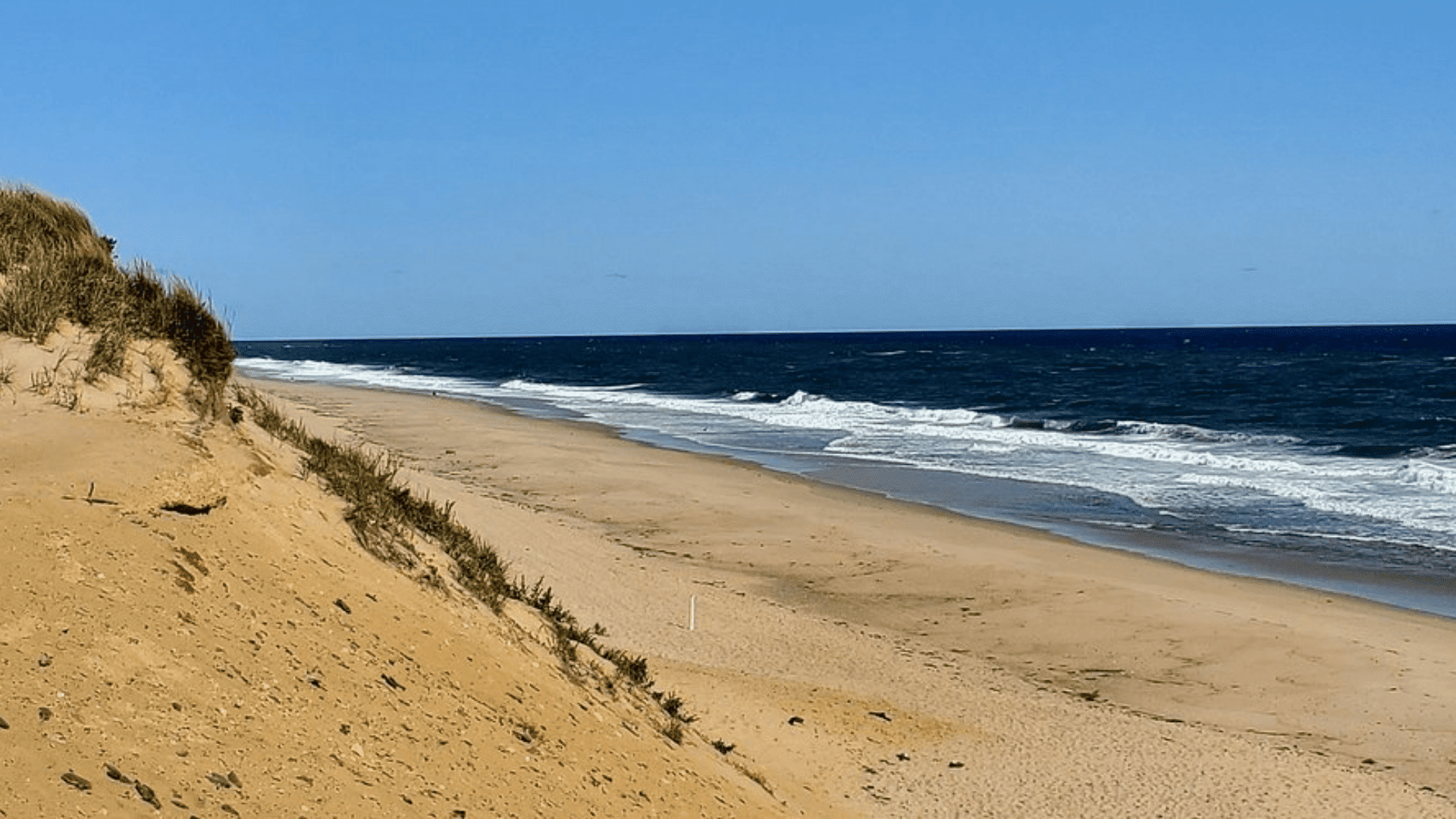 Why-Visit-Newcomb-Hollow-Beach