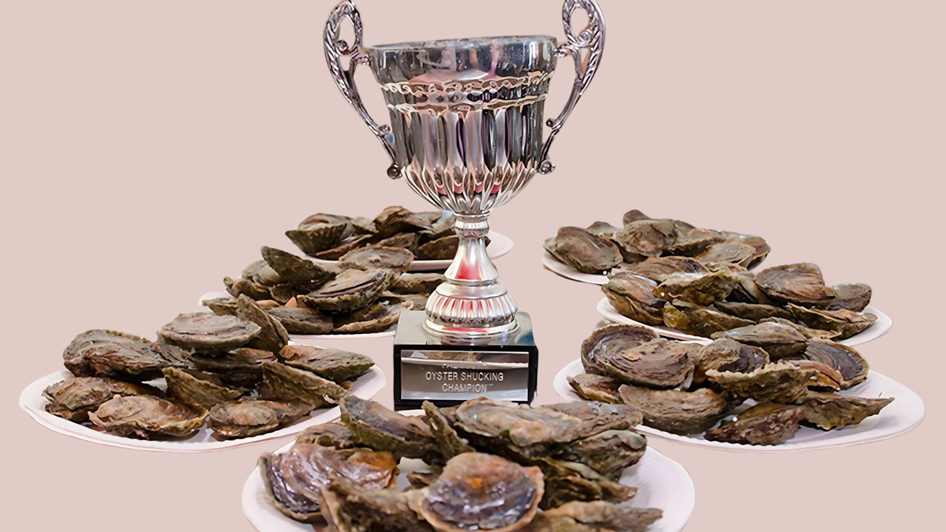 Why Wellfleet Oyster Festival Should Be on Your List?