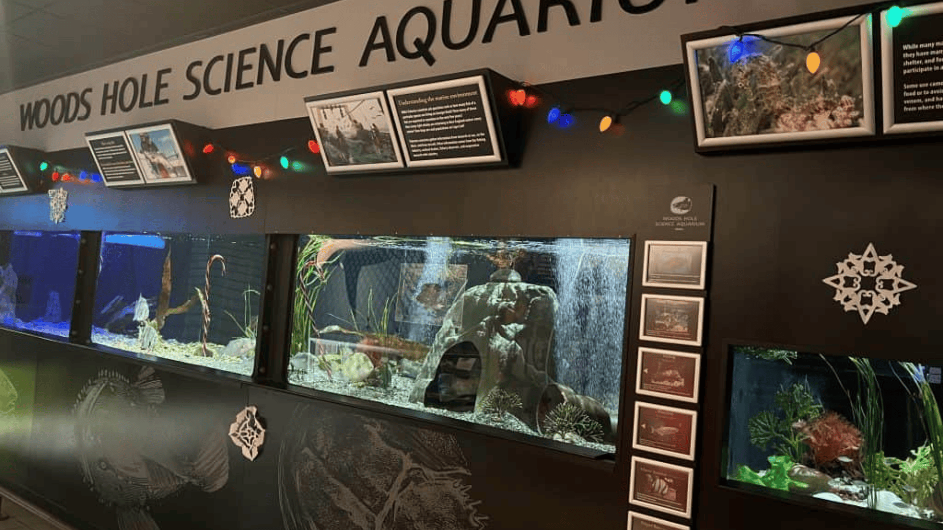 Woods Hole Science Aquarium