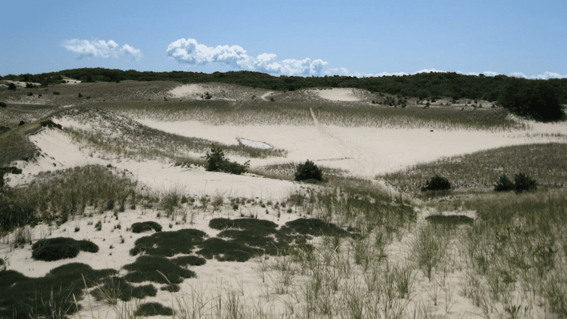 cape-cod-camping-dunes-edge-campground