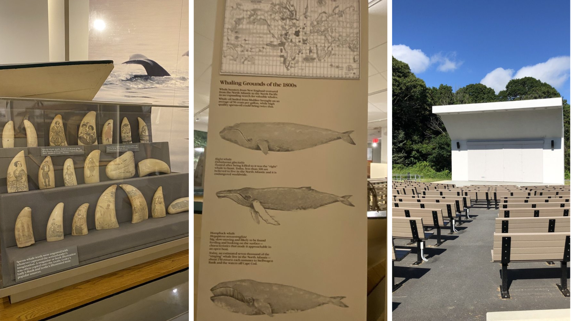 museum-exhibits-and-cultural-displays-of-salt-pond-visitor-center
