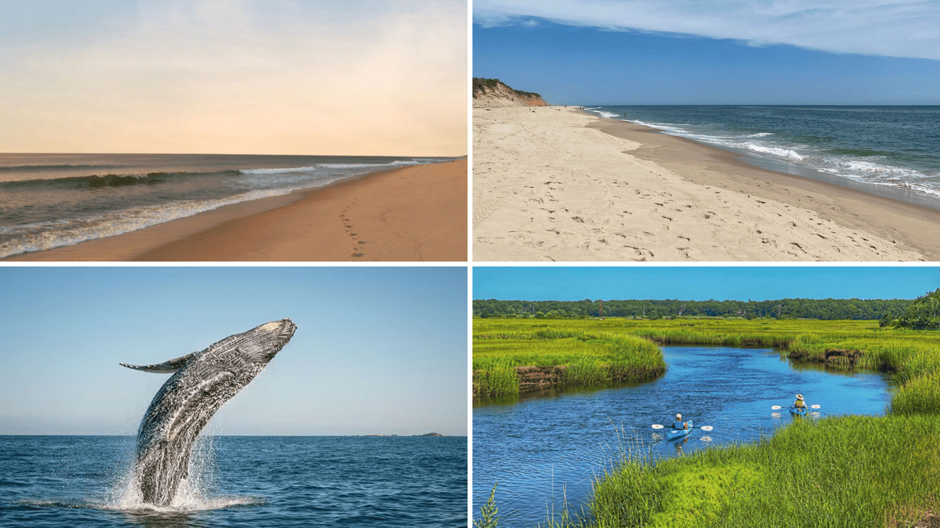 things-to- do-in--Beach-&-Water-Activitiesl