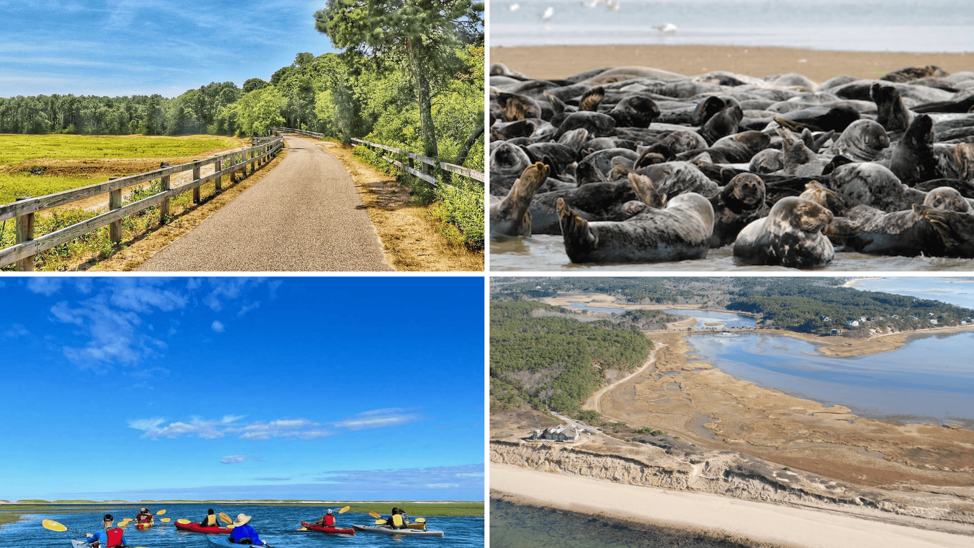 things-to- do-in-cape-cod-outdoor adventures